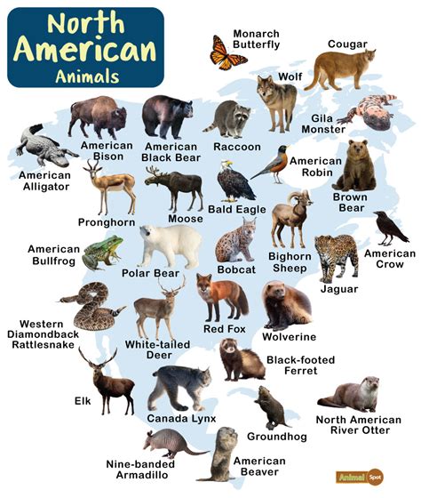what is ntivb|Native Species .